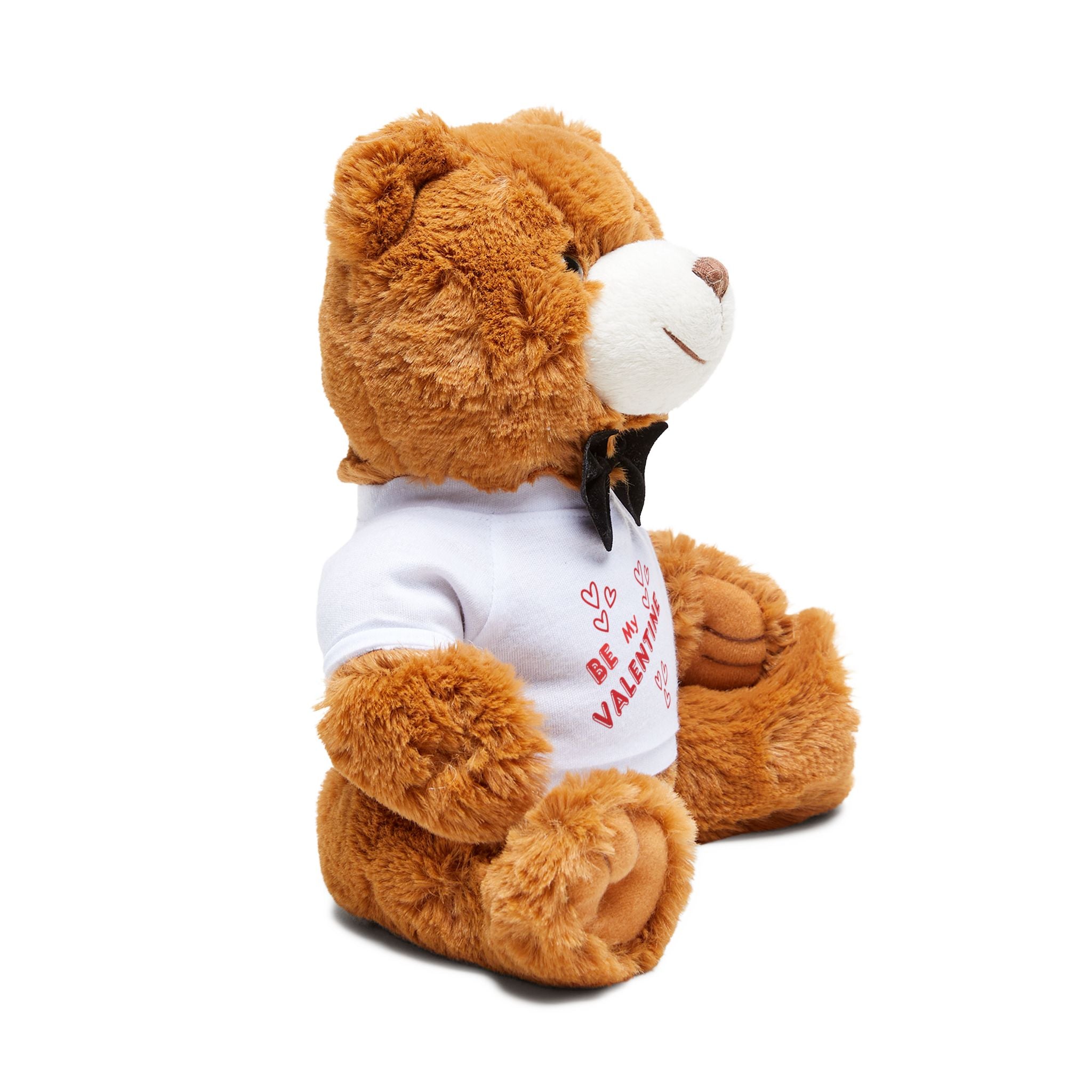 Valentine Teddy Bear with 'Be My Valentine' T-Shirt