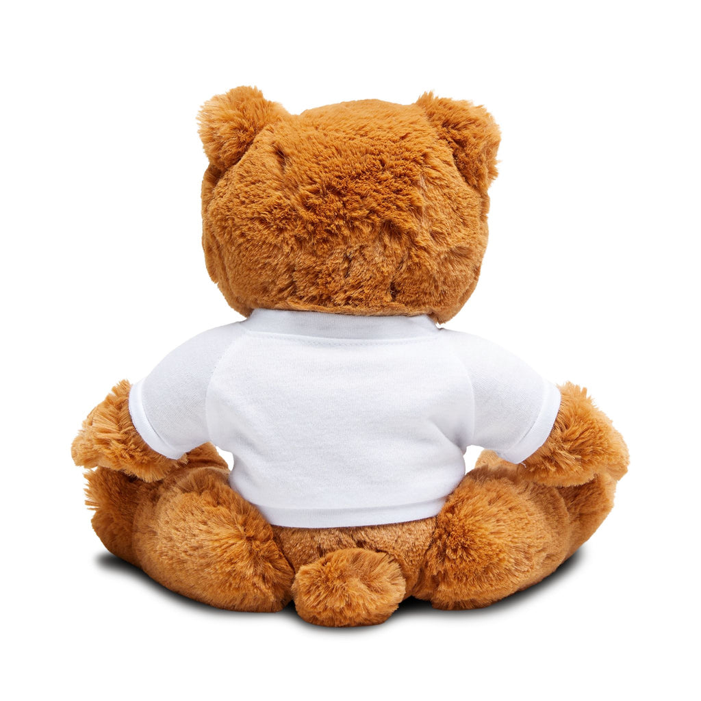Valentine Teddy Bear with 'Be My Valentine' T-Shirt
