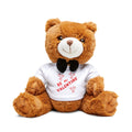 Valentine Teddy Bear with 'Be My Valentine' T-Shirt
