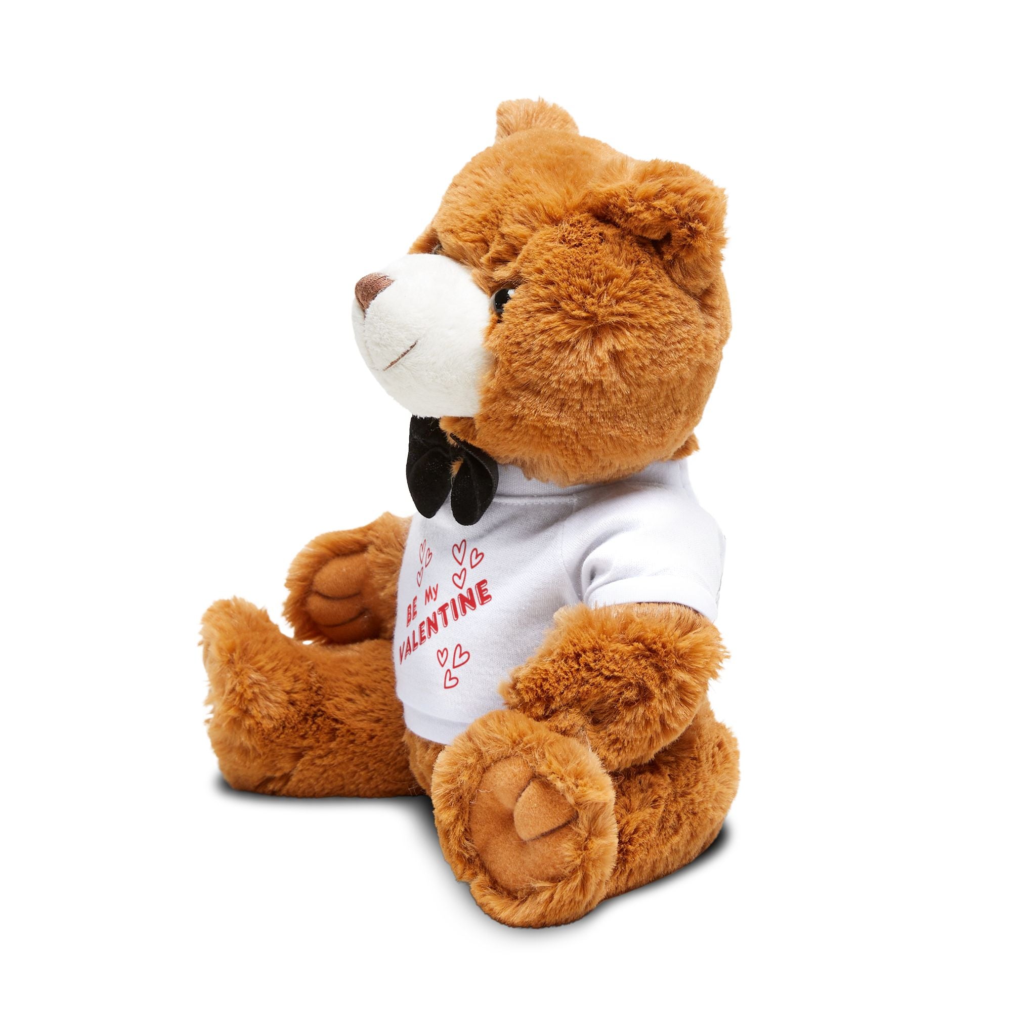 Valentine Teddy Bear with 'Be My Valentine' T-Shirt